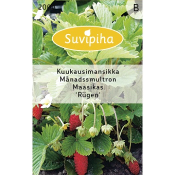 Suvipiha Kuumaasikas 0,2gr B