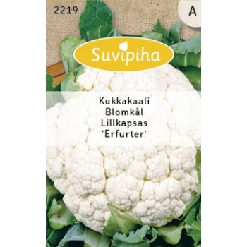 Suvipiha Lillkapsas Erfurter 0,75g A