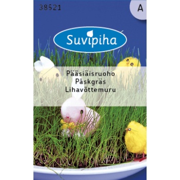 Suvipiha Raihein (lihavõttemuru) 9g A