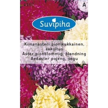 Suvipiha Aedaster pojengõieline 0,5gr A