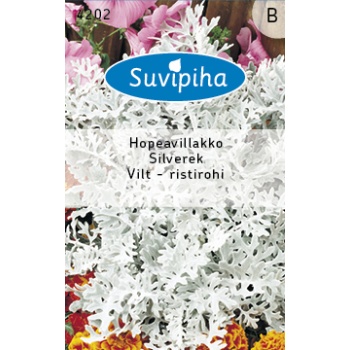 Suvipiha Vilt-ristirohi 0,25g B