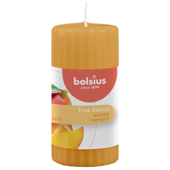 Lõhnaküünal Bolsius 33h 12x5,8cm mango