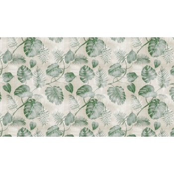 Vakstu laius 140cm filodendron
