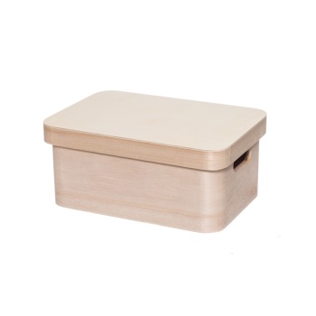 Puidust kast 4Living 25x17x11cm kaanega