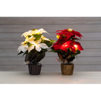Kunstlill Jõulutäht potis LED 36cm valik