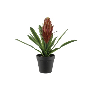 Kunstlill Bromelia 4Living 32cm