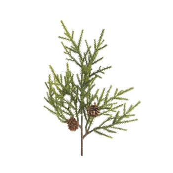 Männioks käbidega 38cm