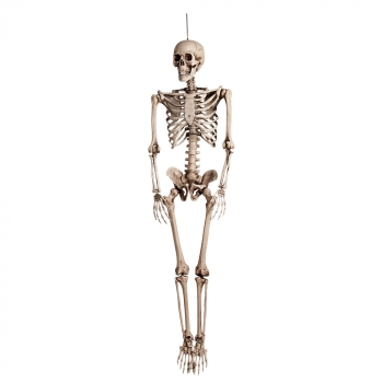 Dekoratsioon Skelett 160cm riputatav