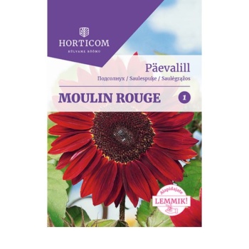 Päevalill Moulin Rouge 50 seemet 1
