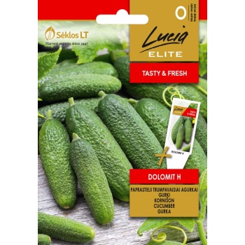 Lucia Kurk DolomitH 20s Cucumis sativusL