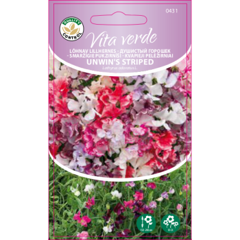 Lõhnav lillhernes Vita Verde Unwin's 1g