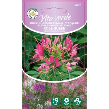 Ämbliklill Rose Queen 1g