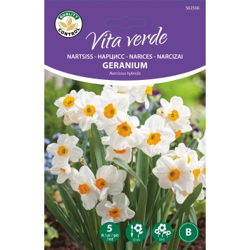 Vita Verde Nartsiss Geranium B 5tk