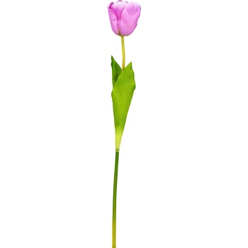 Kunstlill Tulp 60cm