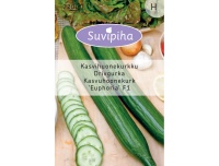 Suvipiha Kasvuhoonekurk Euphoria F1 6s H