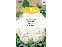Suvipiha Lillkapsas Erfurter 0,75g A