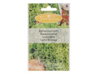 Suvipiha Lehtsalat Lollo Bionda 1g A