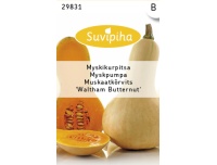 Suvipiha Muskaatkõrvits Waltham 2g B