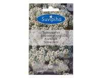 Kivikilbik Snowcloth 0,5g A