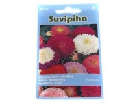 Suvipiha Aedaster Pompon segu 0,5g A