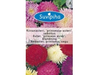 Suvipiha Aedaster printsess segu 0,5gr A