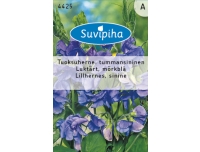Suvipiha Lillhernes lavendelsinine 3g A