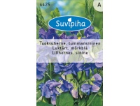Suvipiha Lillhernes lavendelsinine 3g A