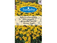 Suvipiha Peiulill ahtaleheline 0,25g B