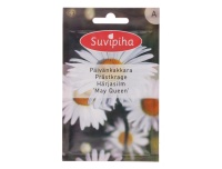 Suvipiha Härjasilm May Queen 0,4g A