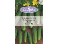 Suvipiha Avamaakurk Adam F1 10seemet E