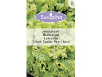 Suvipiha Lehtsalat Grand Rapids 0,5g E