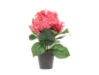Kunstlill Hortensia potis tumeroosa