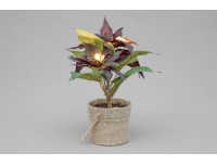 Kunstlill Jõulutäht potis 28cm