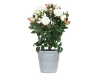 Kunstlill Roos potis 36cm