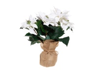 Kunstlill Jõulutäht potis 36cm