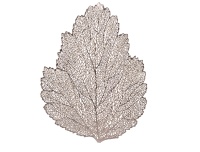 Lauamatt Leht 46x35cm shampanja