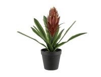 Kunstlill Bromelia 4Living 32cm