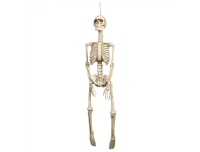 Dekoratsioon Skelett 92cm rippuv
