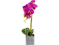 Kunstlill Orhidee 35cm potis