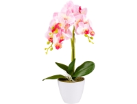 Kunstlill Orhidee potis 52cm