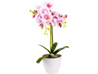 Kunstlill Orhidee potis 52cm