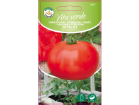 Tomat Vita Verde Betalux 0,2g