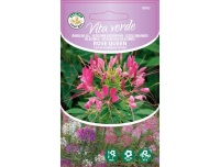 Ämbliklill Rose Queen 1g