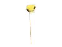 Dekoratsioon Lind pesas 26cm
