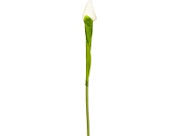 Kunstlill Tulp 38cm