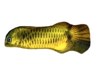 Mänguasi Kala lemmikloomale 20cm