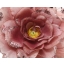 Dekoratsioon Roos 14x8,5cm roosa