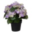 Kunstlill Hortensia potis 24cm