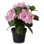 Kunstlill Hortensia potis 24cm