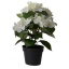 Kunstlill Hortensia potis 24cm